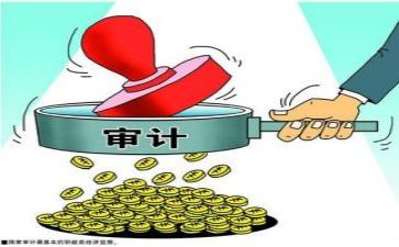 局内部审计工作总结推荐8篇