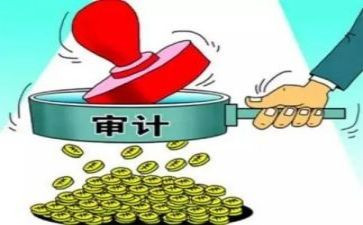 审计所工作总结优秀5篇