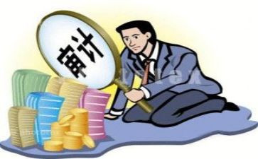 审计室工作总结模板5篇