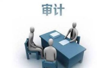 局内部审计工作总结优质7篇