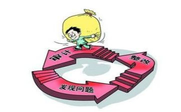 2审计工作总结通用5篇