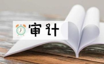 审计所工作总结最新6篇