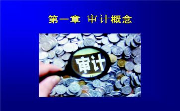 审计局年终工作总结7篇