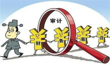 局内部审计工作总结通用8篇