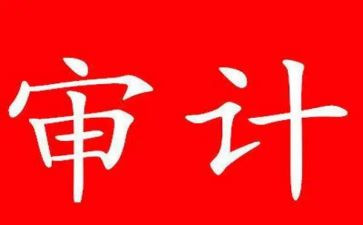 半年度审计工作总结模板5篇