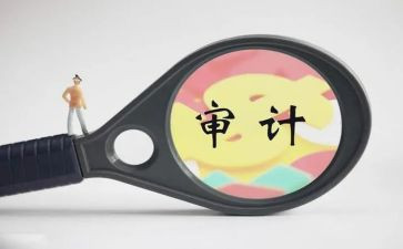 审计工作个人工作总结报告8篇