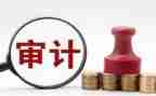 2023年度审计工作总结7篇