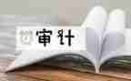 审计所工作总结最新6篇
