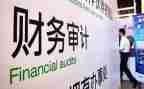 财务审计工作总结报告5篇