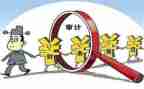 局内部审计工作总结通用8篇