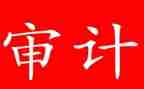 半年度审计工作总结7篇