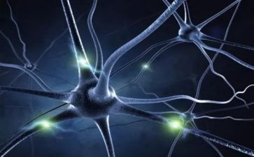 护士在神经内科的自我鉴定最新6篇