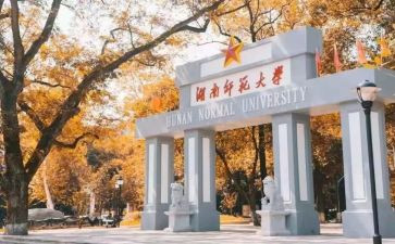 个人年度工作总结医师范文6篇