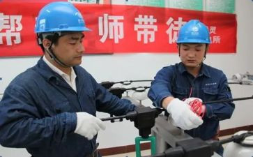 语文青蓝工程师傅工作计划7篇