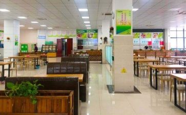 食堂工作总结及工作计划8篇