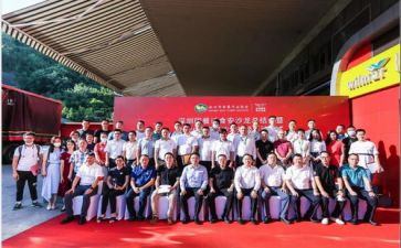 市团委年终工作总结范文8篇