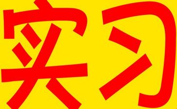 实习生心得体会最新7篇