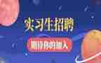 实习期工作总结及心得6篇