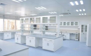 数学实验报告心得6篇