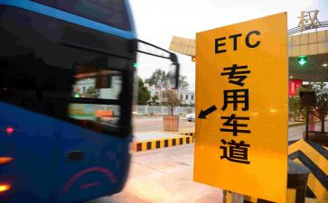 教育收费自查报告参考7篇