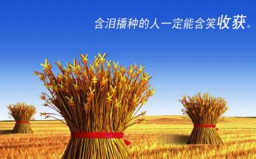 关于我收获了作文5篇