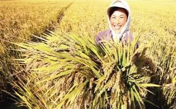 关于我收获了作文通用6篇