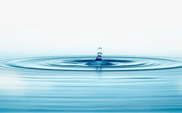 水果大班教案优质6篇