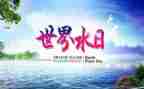 水周水日活动总结8篇