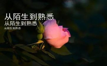 我最熟悉的人100的好作文6篇