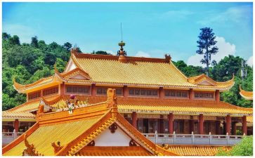 晓出净慈寺送林子方教案5篇