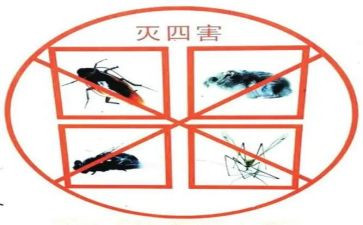 消除四害工作计划模板5篇