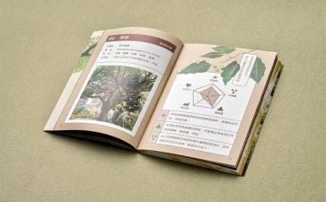 教师学四史的心得体会8篇