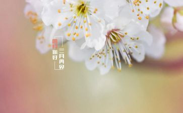 四月工作总结6篇