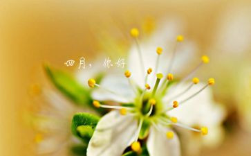 四月的心得体会5篇