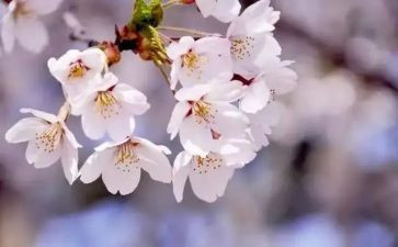 教师四月份工作计划8篇