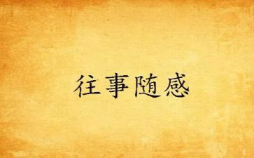 随感作文600字7篇