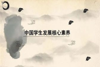教师的素养心得体会优质5篇