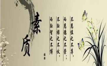 素质11活动总结7篇