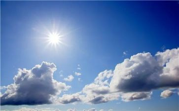 太阳读后感5篇
