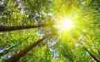 《太阳》教案模板5篇