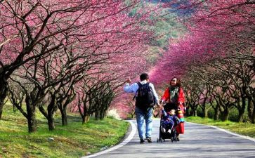 踏青作文范文7篇