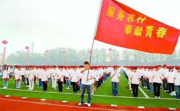 特岗教师事迹报告7篇