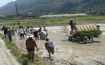 特岗教师的心得体会推荐5篇