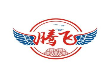 腾飞祖国的作文6篇