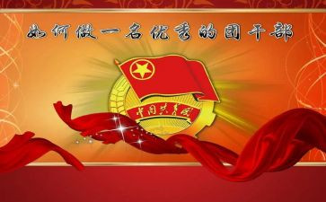 团干部建设工作总结5篇