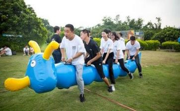 大公司团建活动方案5篇