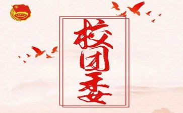 区团委工作总结参考8篇