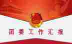 院团委工作报告5篇