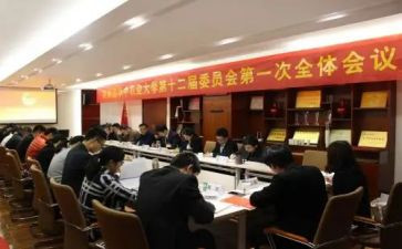 团委会工作总结推荐5篇