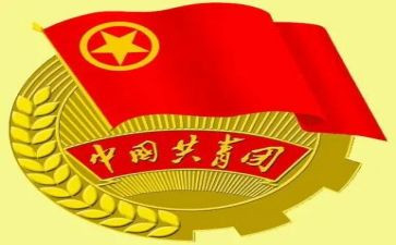 团组织部的工作总结最新5篇